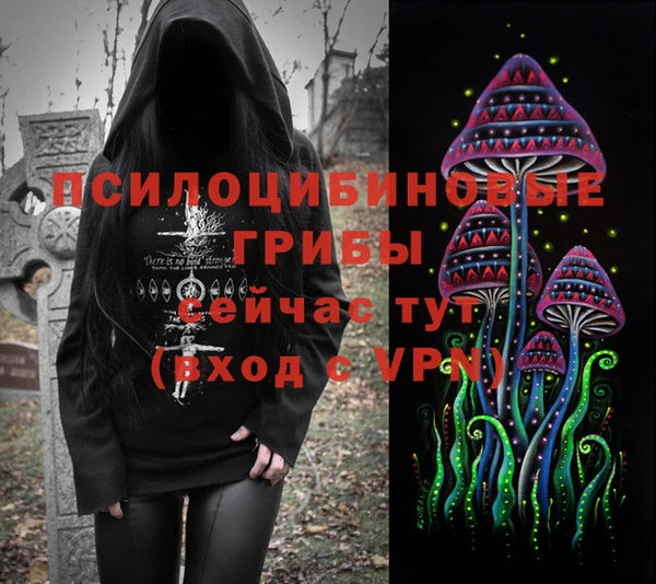сатива Алексин
