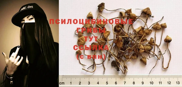 экстази Абдулино