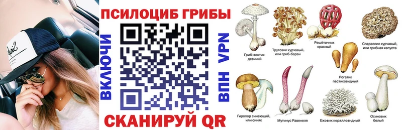 Псилоцибиновые грибы мицелий  наркотики  гидра вход  Тулун 
