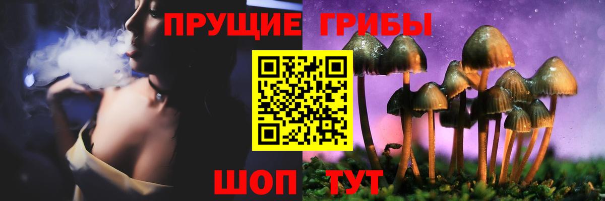 Тулун  даркнет сайт  Вход с VPN  Псилоцибиновые грибы прущие грибы 